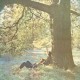 JOHN LENNON-PLASTIC ONO BANC -HQ- (LP)
