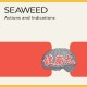 SEAWEED-ACTIONS AND.. -REISSUE- (LP)