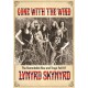 LYNYRD SKYNYRD-GONE WITH THE WIND (DVD)