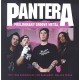 PANTERA-PRELIMINARY GROOVE METAL (CD)
