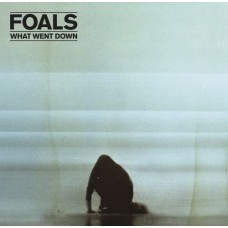 FOALS-WHAT WENT DOWN (CD+DVD)