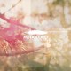 RED CLOUD-NO ONE HAS PROMISED US.. (CD)