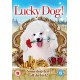 FILME-LUCKY DOG (DVD)