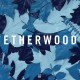 ETHERWOOD-BLUE LEAVES (CD)