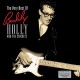 BUDDY HOLLY-VERY BEST OF (2LP)