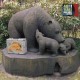 V/A-40 YEARS BEAR.. (3CD+DVD)
