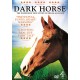 DOCUMENTÁRIO-DARK HORSE (DVD)