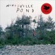 HUNTSVILLE-POND (LP)