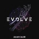 JULIAN CALOR-EVOLVE (CD)