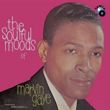 MARVIN GAYE-SOULFUL MOODS OF (LP)