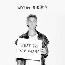JUSTIN BIEBER-WHAT DO YOU MEAN? -2TR- (CD-S)