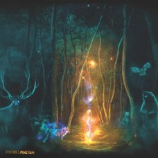 FOXFIRES-PINETUM (LP)
