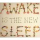 BEN LEE-AWAKE IN THE NEW SLEEP (CD)