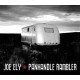 JOE ELY-PANHANDLE RAMBLER (CD)