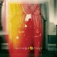 WILD CHILD-FOOLS (LP)