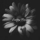 LASTING TRACES-YOU & ME (LP)
