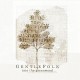 GENTLEFOLK-INTO THE GREENWOOD (CD)