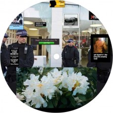 JAM CITY-EARTHLY VERSIONS (12")