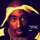 2PAC-INSTRUMENTALS (2LP)