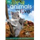 DOCUMENTÁRIO/BBC EARTH-ANIMALS WE LOVE BOX (3DVD)